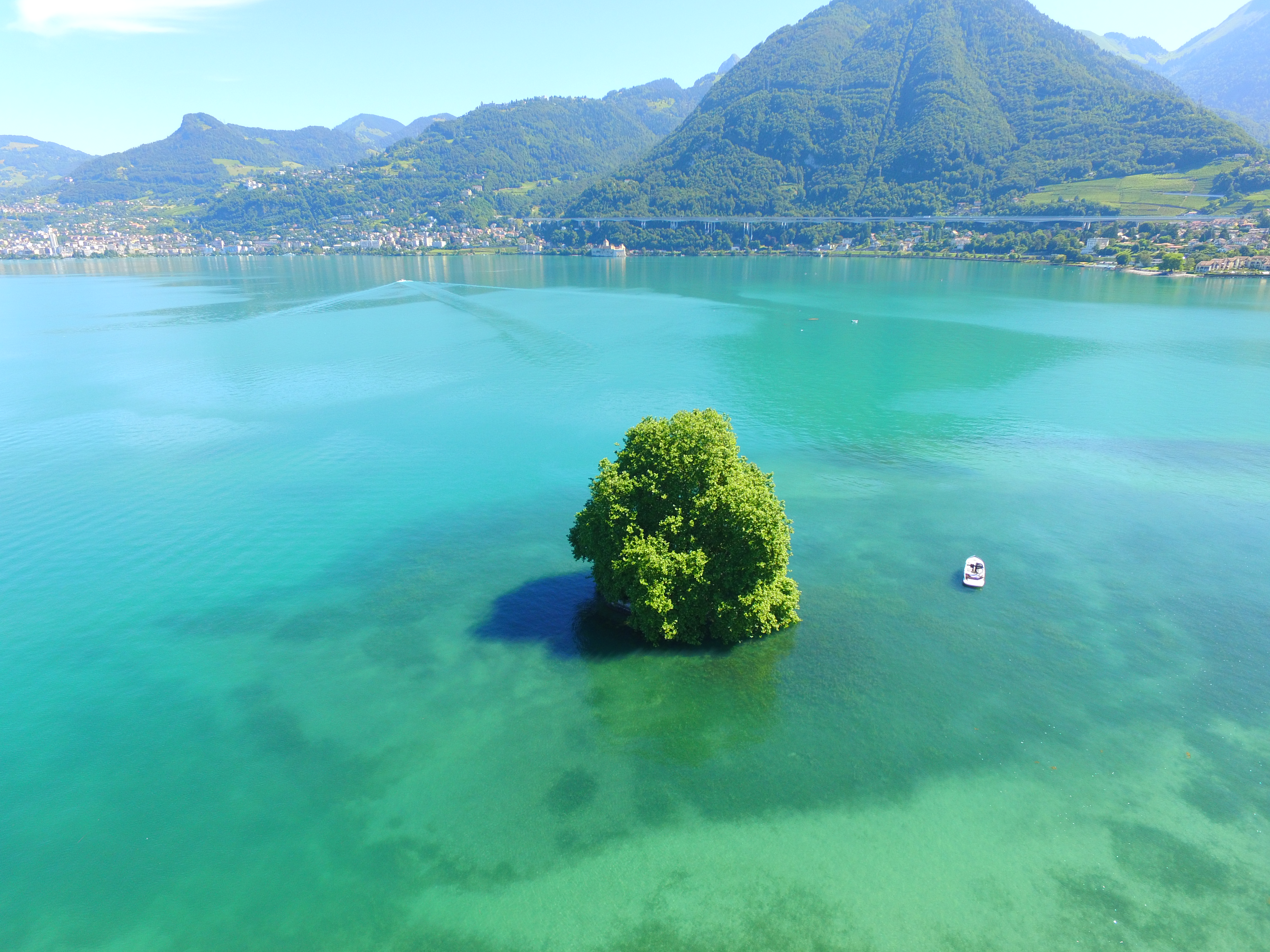 Thonon : 5 faits sur le Lac Léman que vous ne connaissez surement pas : île Peilz