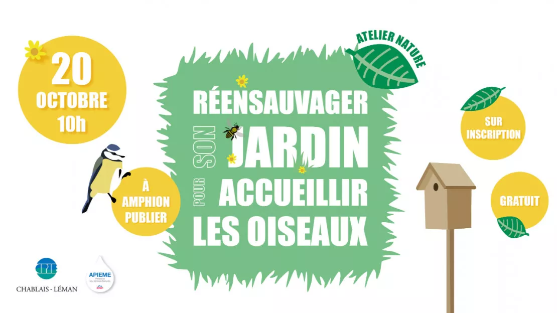 Réensauvager son jardin pour accueillir les oiseaux