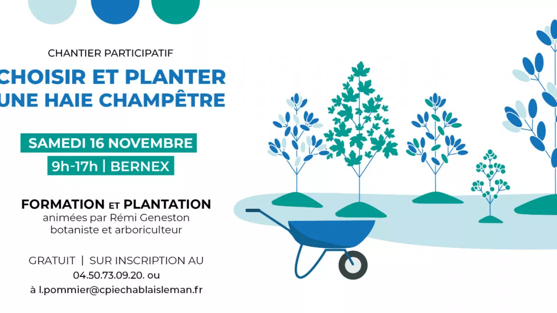 Chantier participatif : Choisir et planter une haie champêtre à Bernex