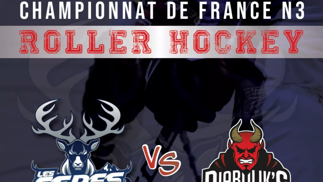 PARTENAIRE - LES CERFS DE THONON ROLLER HOCKEY