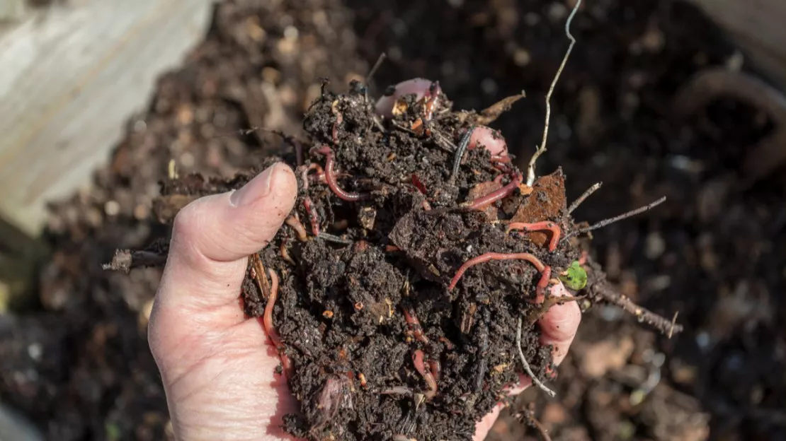 Agglo Annemasse: don de compost aux habitants