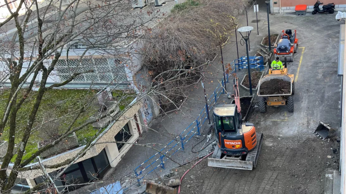 Annemasse : le point sur les travaux de piétonnisation et de végétalisation