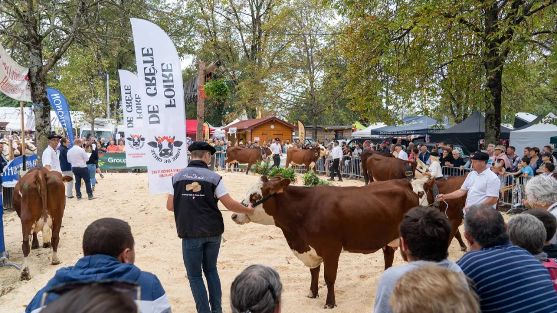 Chablais : c'est le grand jour pour la Foire de Crête !