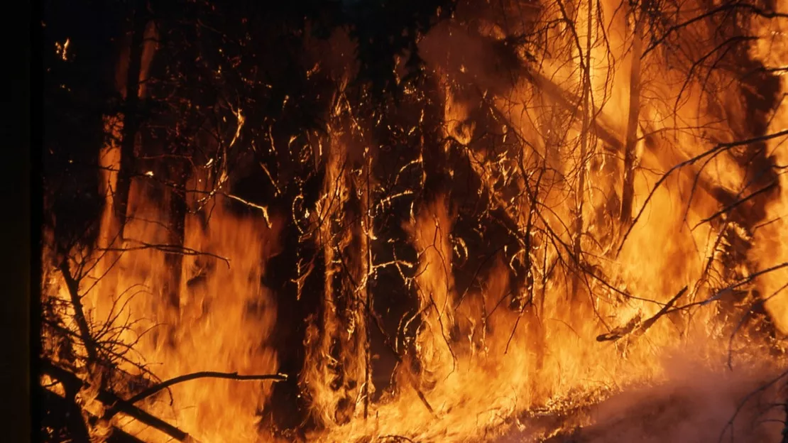 De nouvelles mesures contre les feux de forêt et de végétation en Haute-Savoie