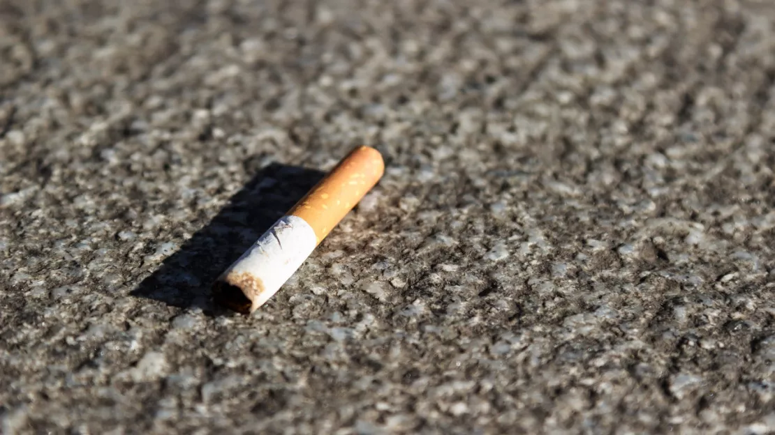 Genève lance une campagne contre les mégots de cigarette