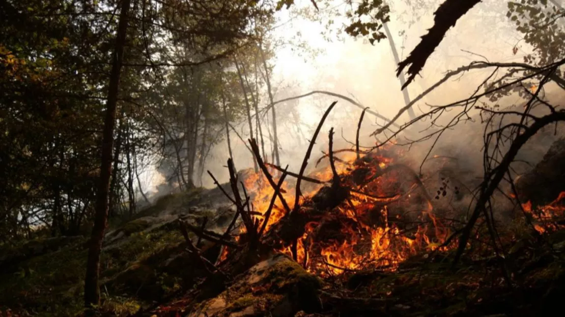 Haute-Savoie : feux de forêt et éboulement dans le Mont-Blanc