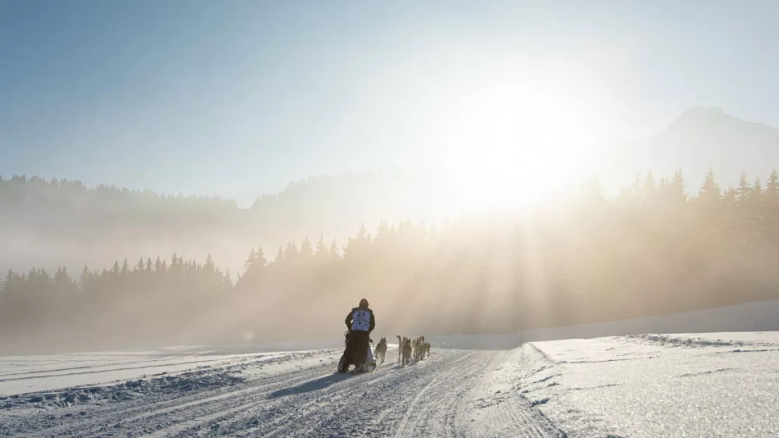 La Grande Odyssée dans le Chablais en ce début de semaine