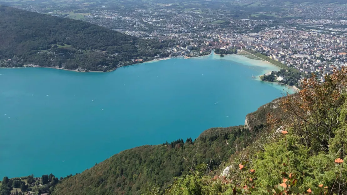 Le crush en ligne, une spécialité d'Annecy ?