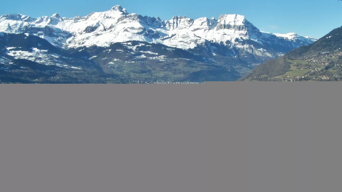 Législatives : 5 candidats dans le Mont-Blanc