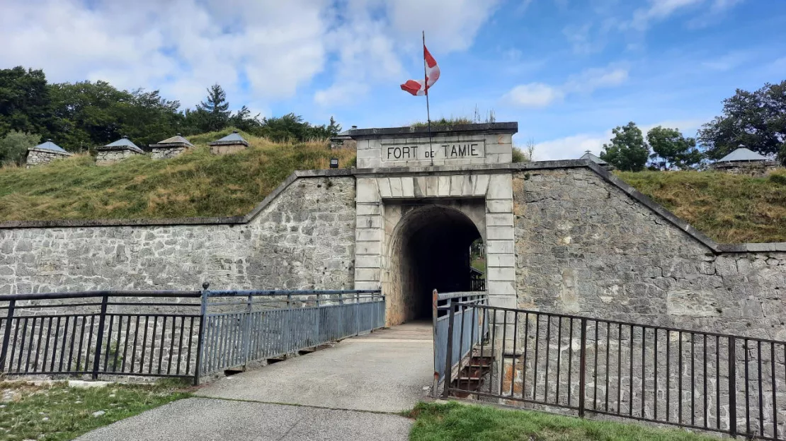 Pourquoi une nouvelle battue au fort de Tamié ?