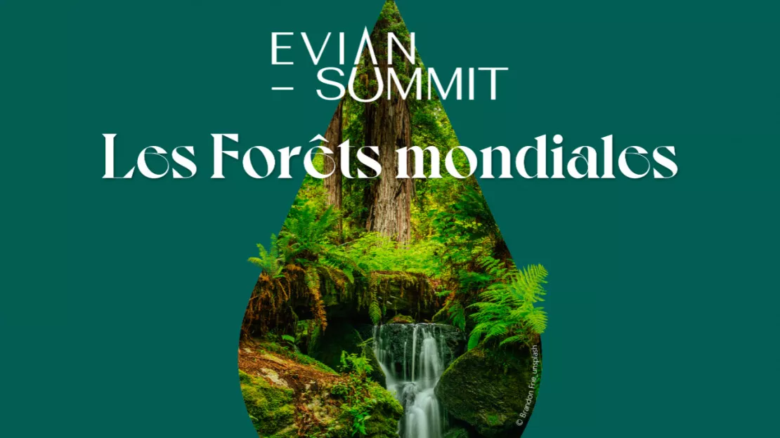 Samedi 25 novembre à Evian :  mobilisation pour la protection des forêts dans le monde