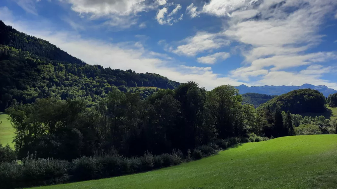 Tamié : une 3ème journée de battue a été décidée en Savoie