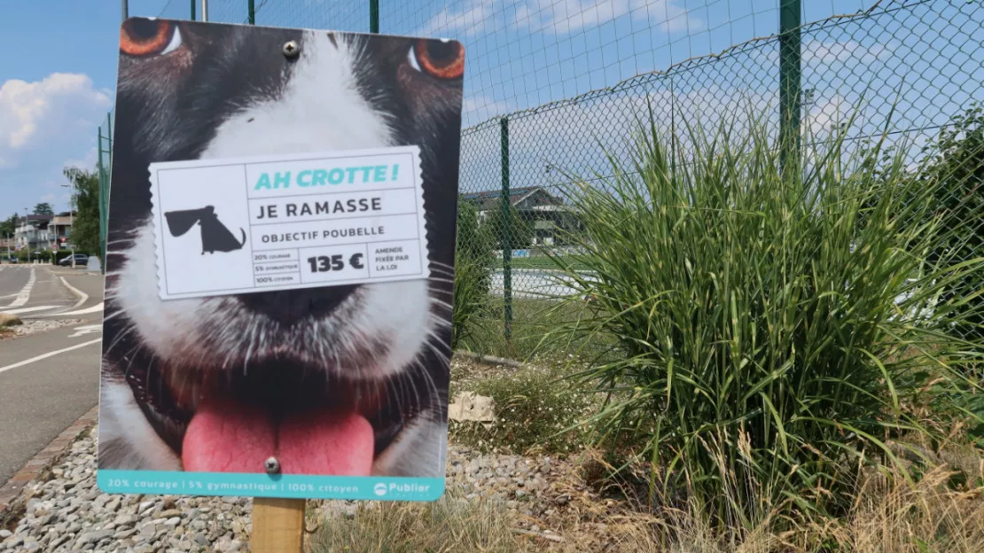 Une campagne pour sensibiliser sur les déjections canines à Publier